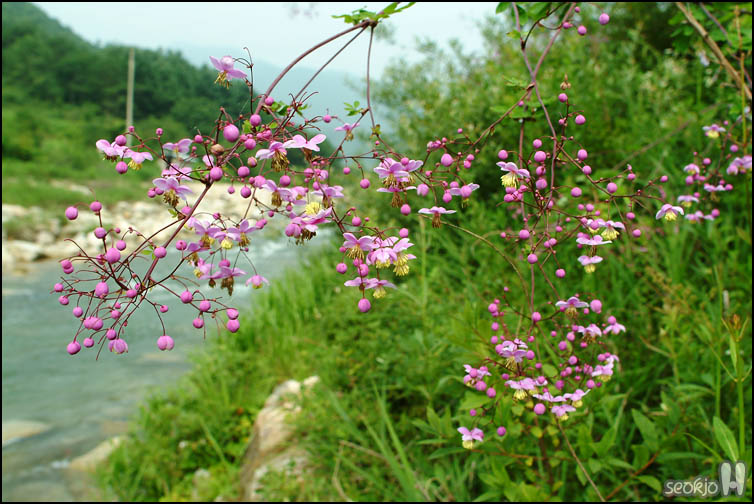 DSCF7843.jpg