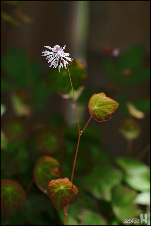 DSCF1125.jpg