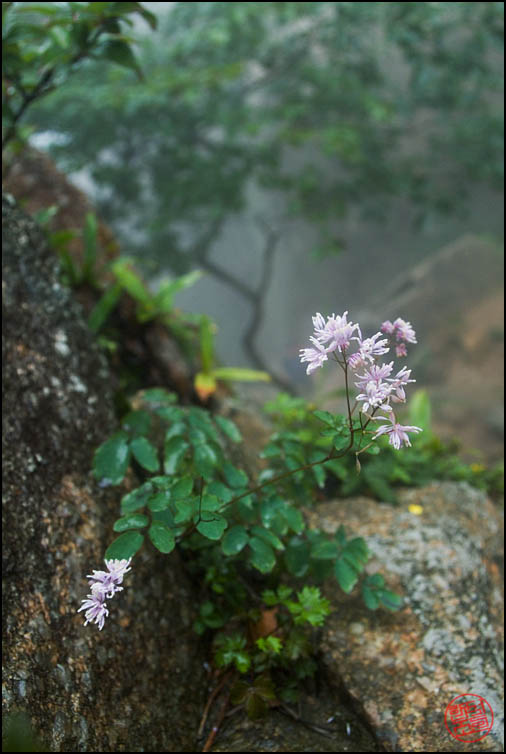 DSCF2514.jpg