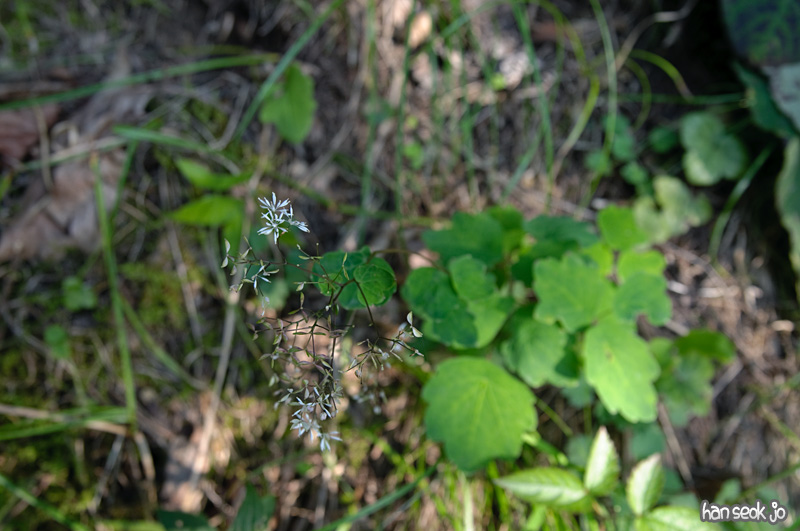 DSC_8085.jpg
