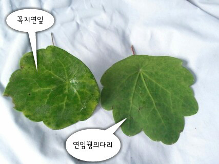 picsay-1282716096.jpg