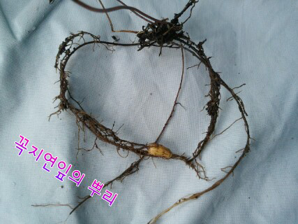 picsay-1282716273.jpg