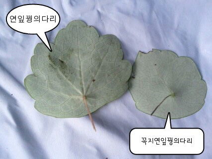 picsay-1282730707.jpg