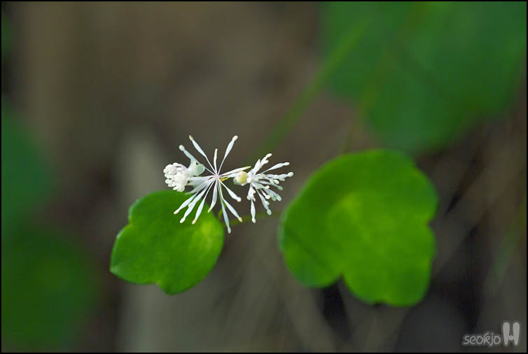 DSCF1395.jpg
