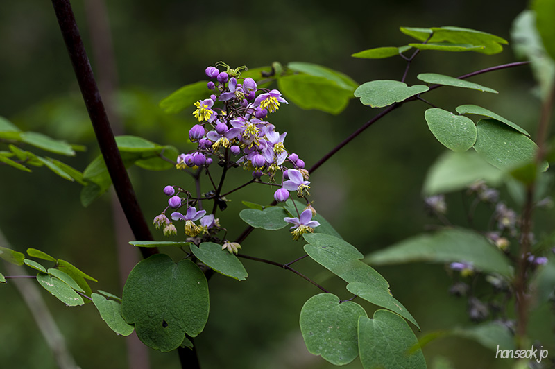 DSC_1275.jpg