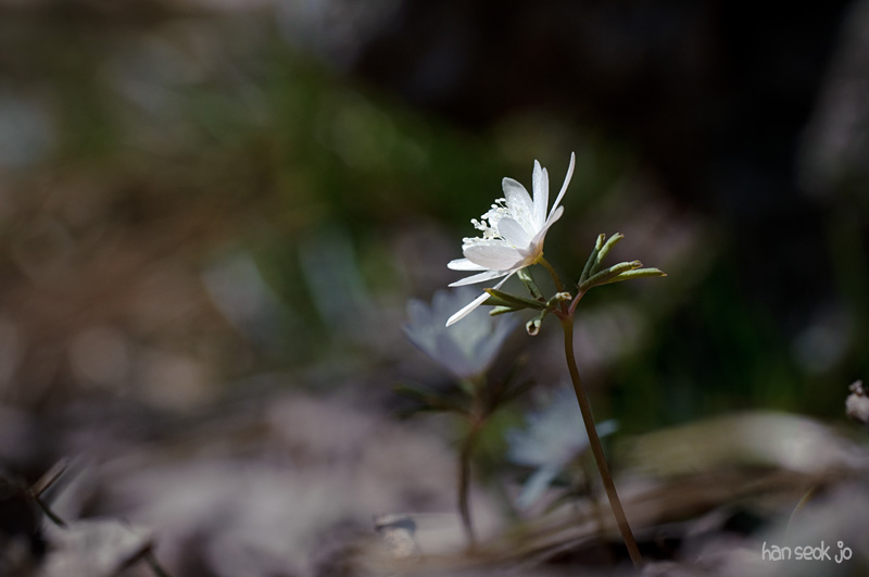 DSC_0651.jpg