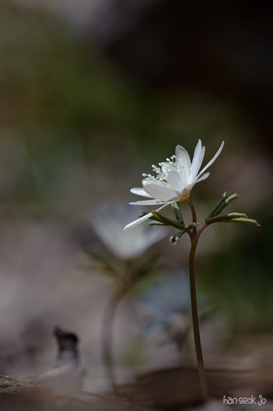 DSC_0656.jpg