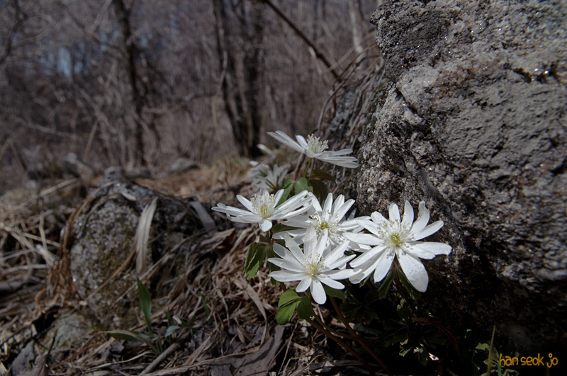 DSC_0635.jpg