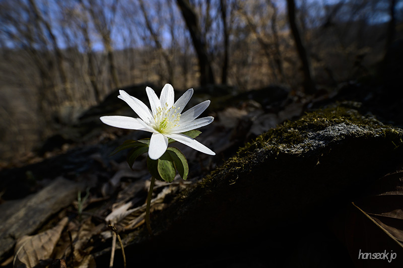 DSC_1803.jpg