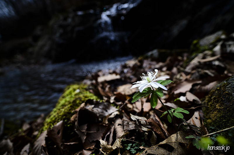 DSC_1847.jpg