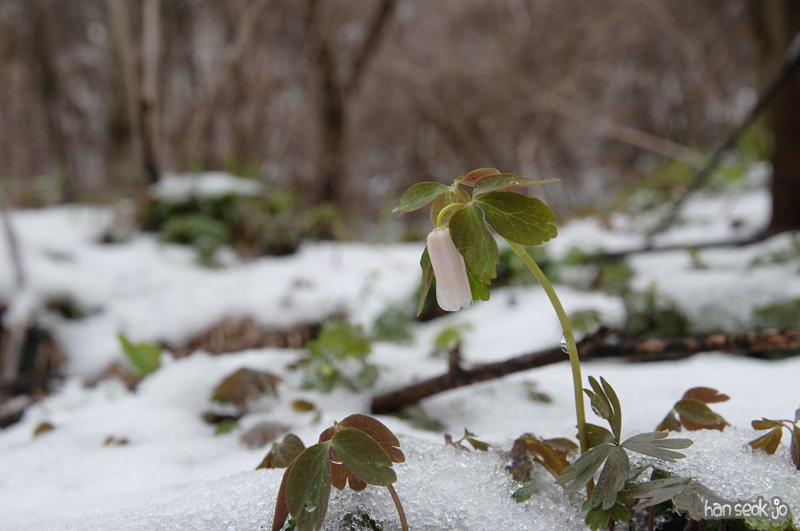 DSC_5679.jpg