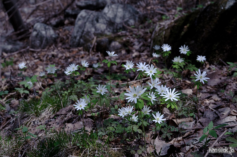 DSC_1050.jpg