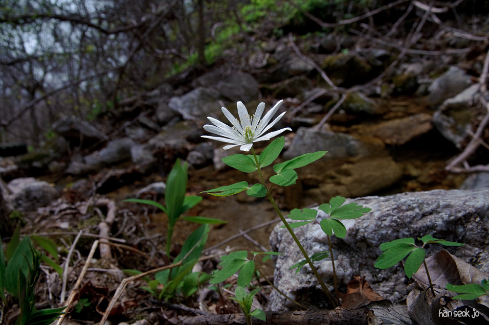 DSC_1136.jpg