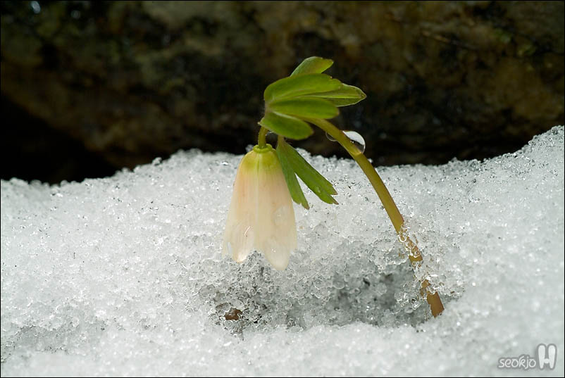 DSCF2913.jpg
