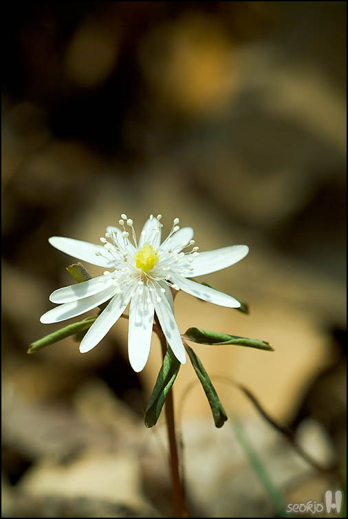 DSCF6867.jpg