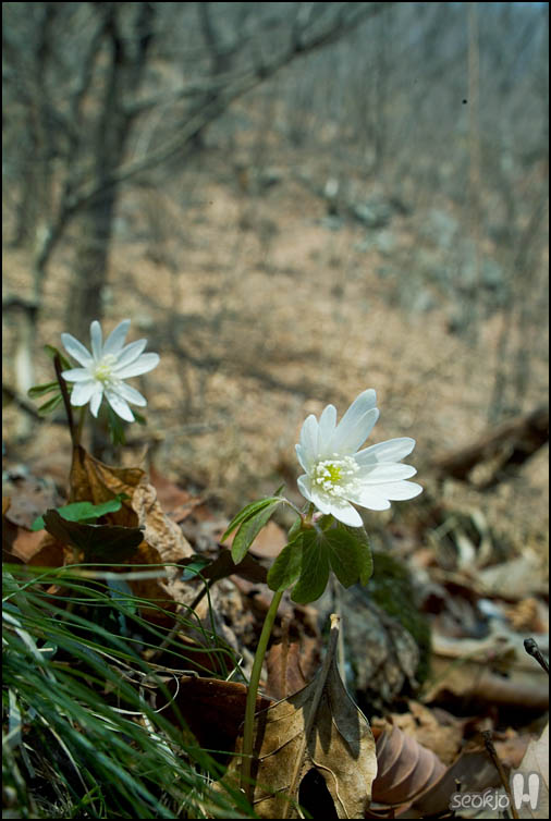 DSCF6880.jpg