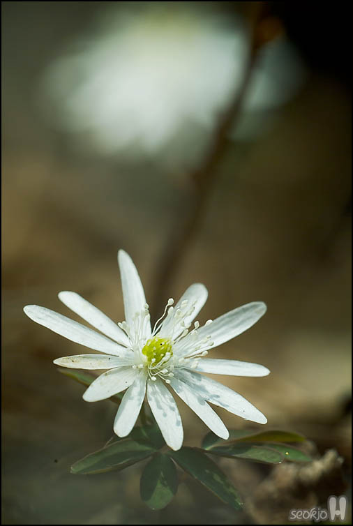 DSCF6868.jpg