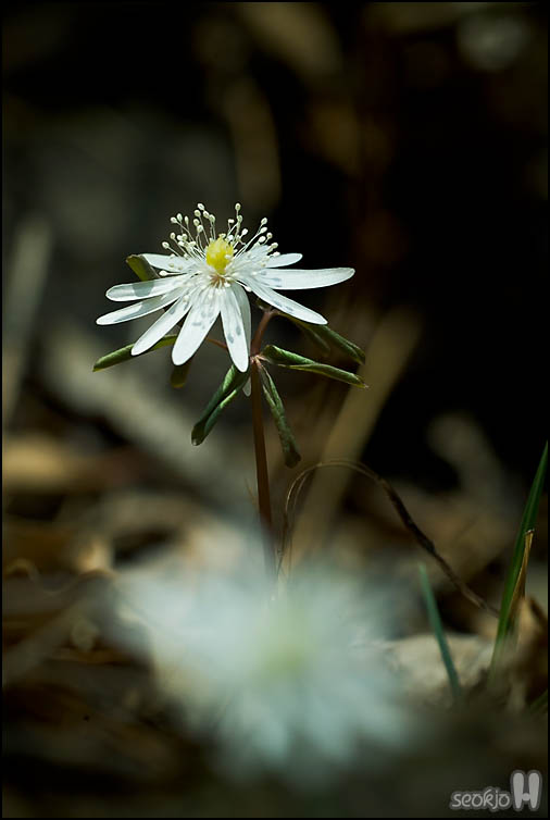 DSCF6869.jpg