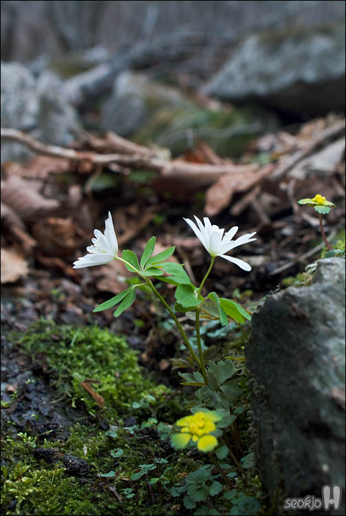DSCF7124.jpg