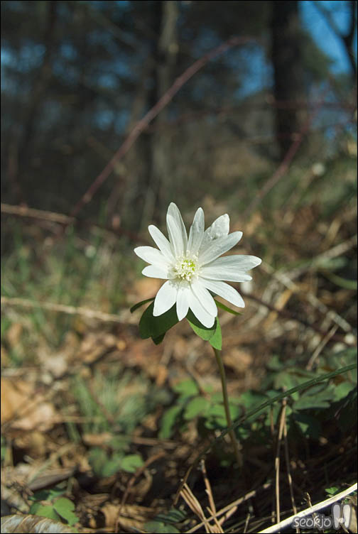 DSCF2299.jpg
