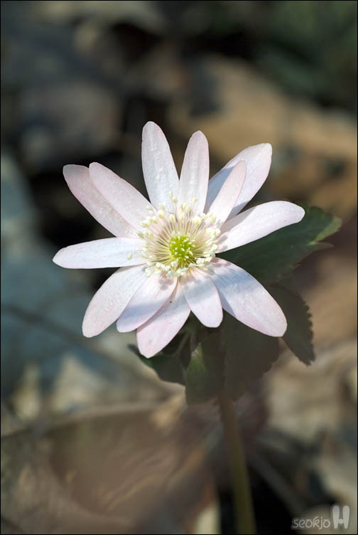 DSCF2153.jpg