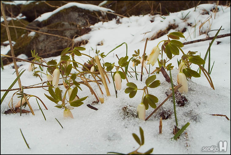 DSCF5997.jpg