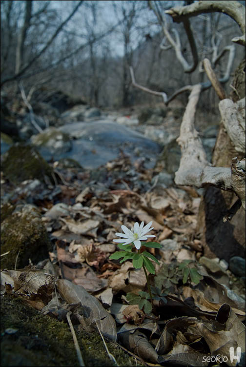 DSCF7455.jpg
