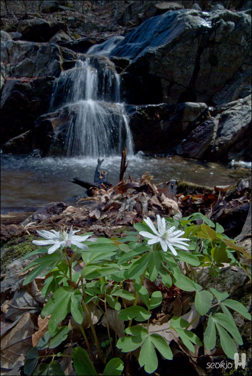 DSCF7495.jpg