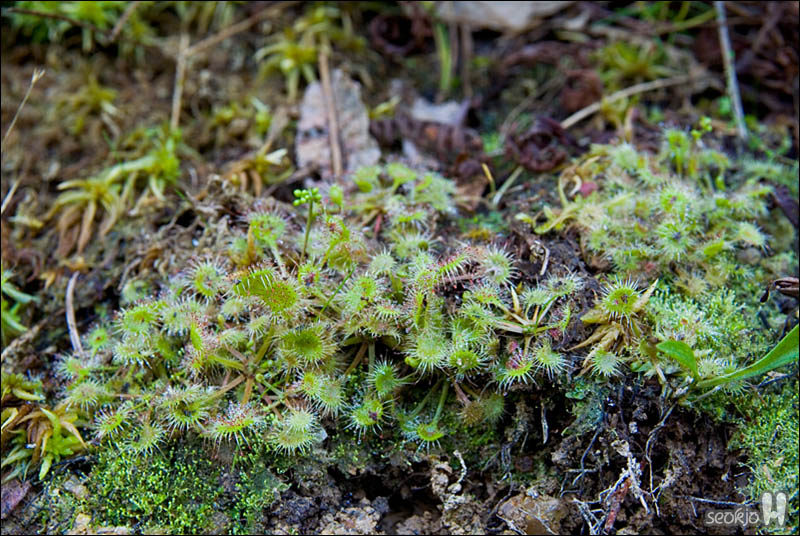 DSCF6294.jpg
