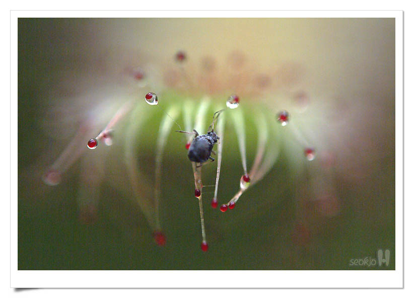 DSCF5835.jpg