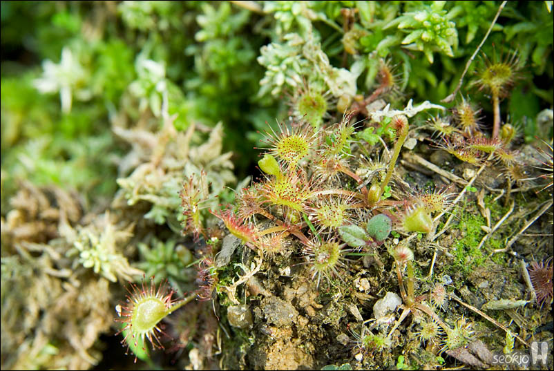 DSCF3905.jpg