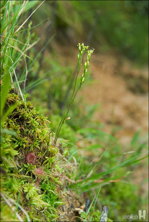 DSCF0106.jpg