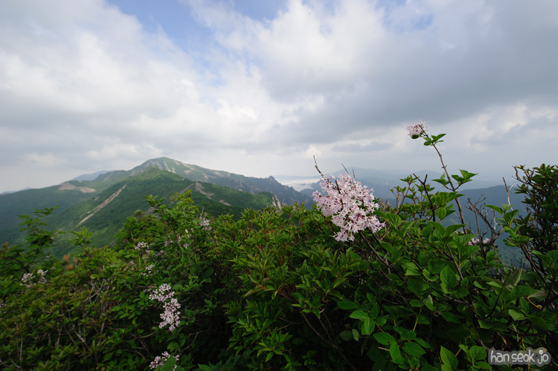 HSJ_0403.jpg