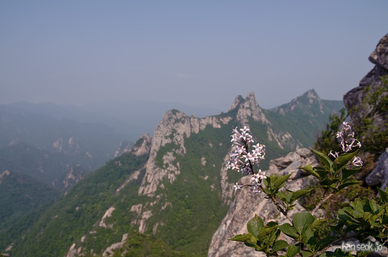 DSC_2415.jpg