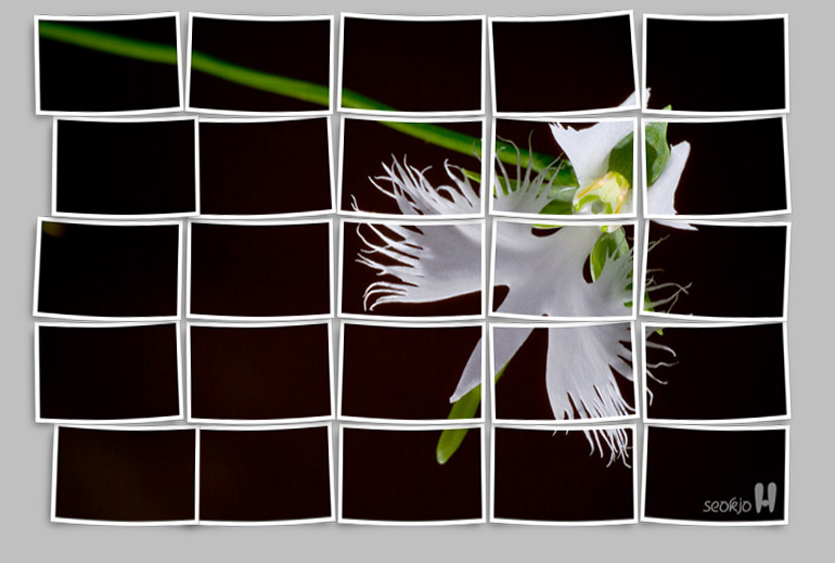 B&Big Picture by Panos.jpg