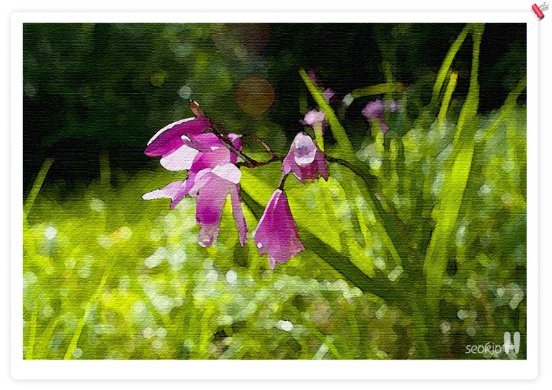DSCF8282.jpg