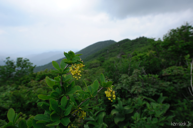 HSJ_3310.jpg