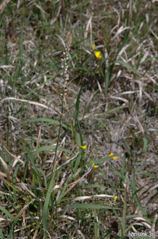 DSC_6127.jpg