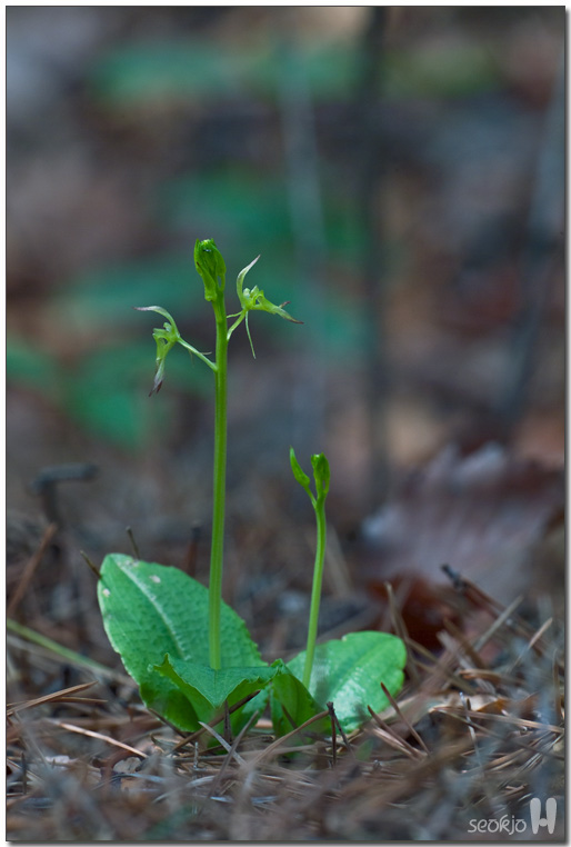 DSCF8926.jpg