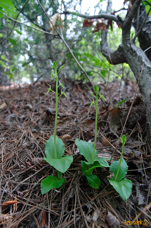 DSC_7042.jpg