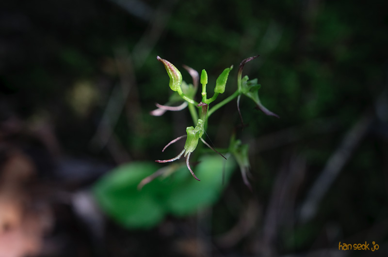 DSC_7550.jpg