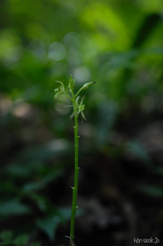 HSJ_4318.jpg