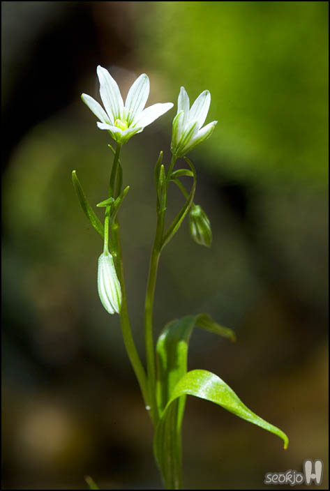 DSCF6228.jpg