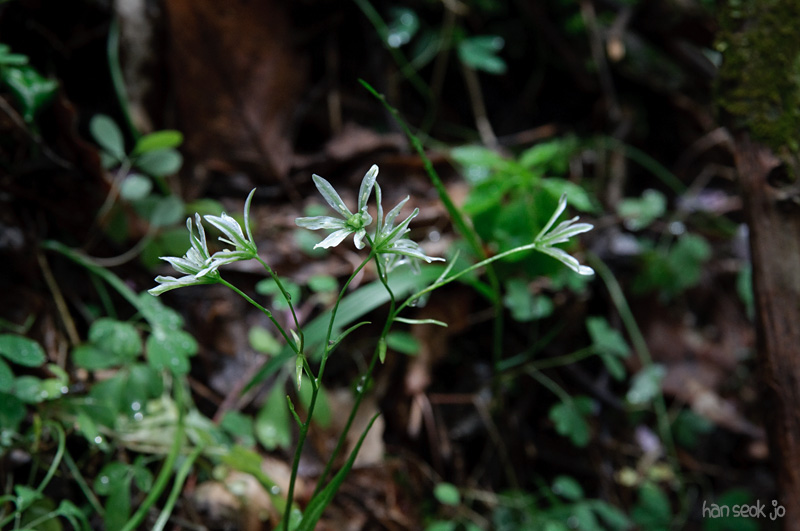 DSC_5897.jpg