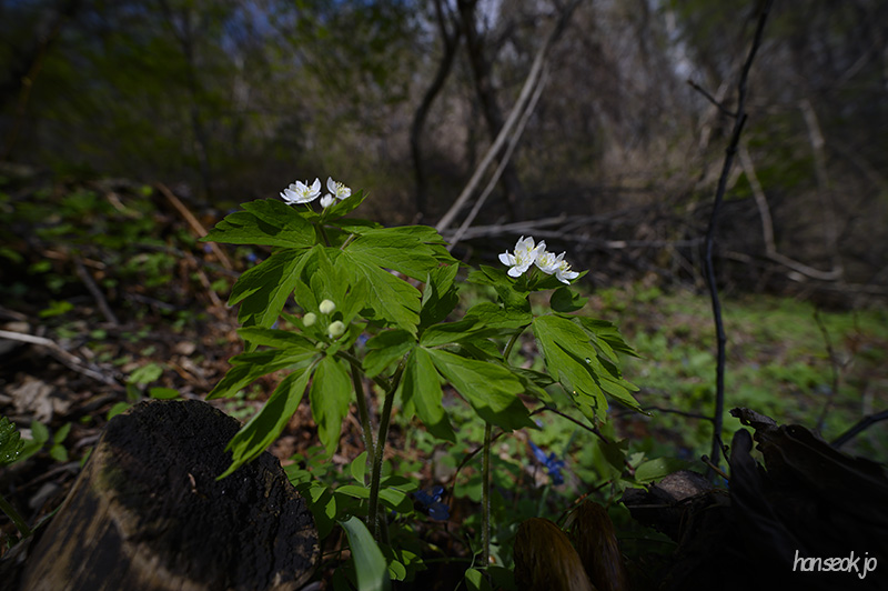 DSC_2473.jpg