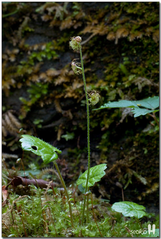 DSCF8463.jpg