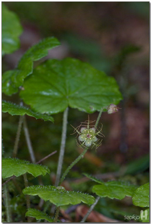 DSCF8502.jpg