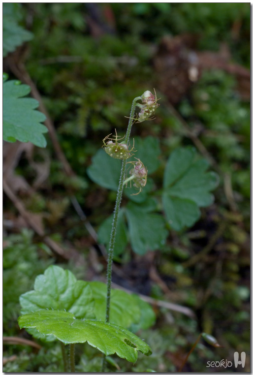 DSCF8453.jpg