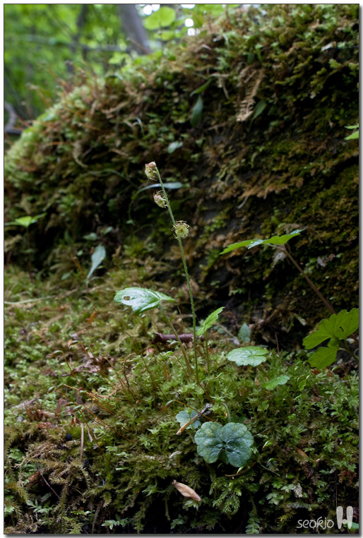 DSCF8476.jpg