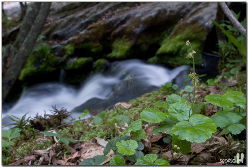 DSCF8493.jpg